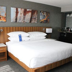King Guest Room